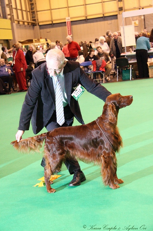 Crufts2011_2 135.jpg